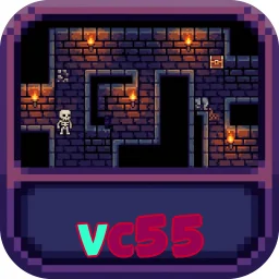 vc55